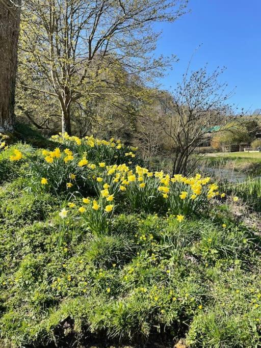 Fordview Cottage Is Full Of Cotwolds Charm Upper Slaughter Luaran gambar